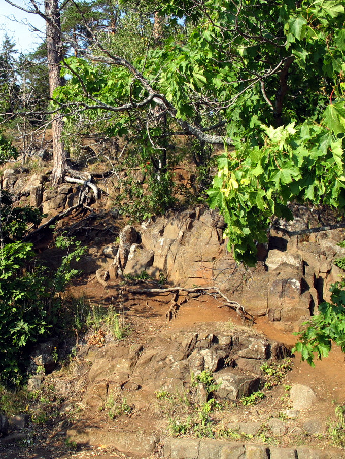 Валаам. Скалы и деревья. 2006