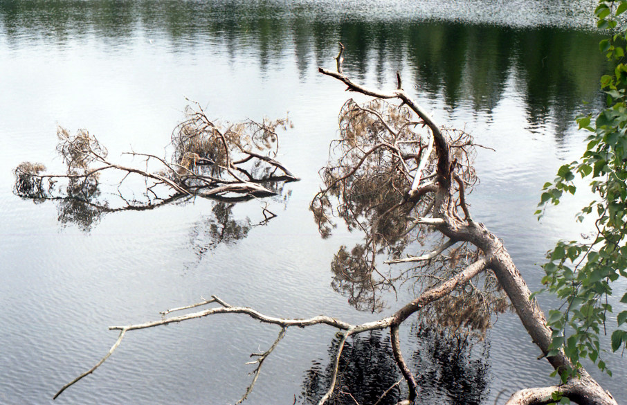 Валаам. Коневский скит. Игуменское озеро 2004