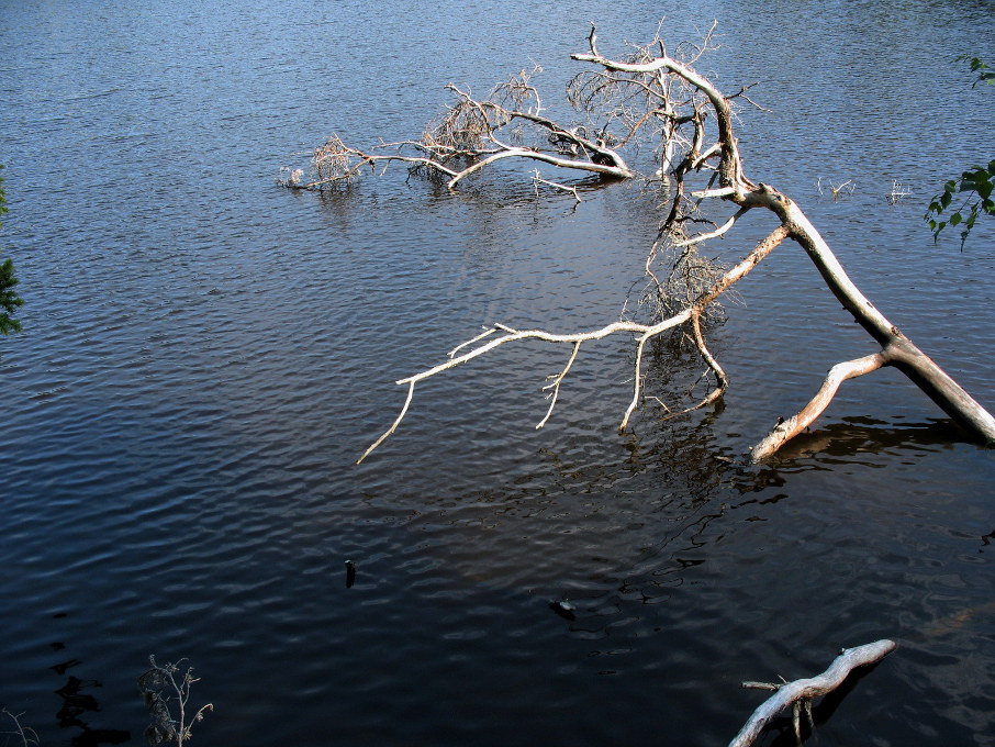 Валаам. Игуменское озеро. 2006